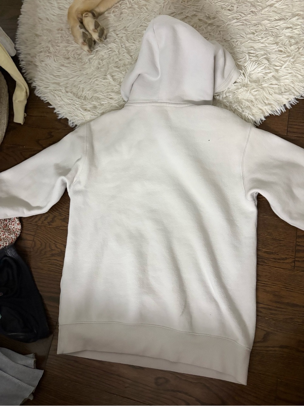 Aritzia Off-White Hooded Pullover Sweatshirt - Picture 2 of 2